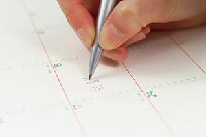 ガチャガチャの森：最新コレクションと魅力を徹底解説