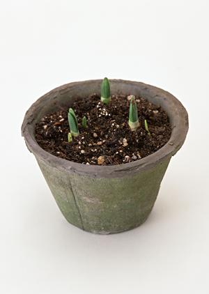 高品質な缶バッチを購入してみよう